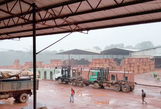 news-553-377 news-553-377